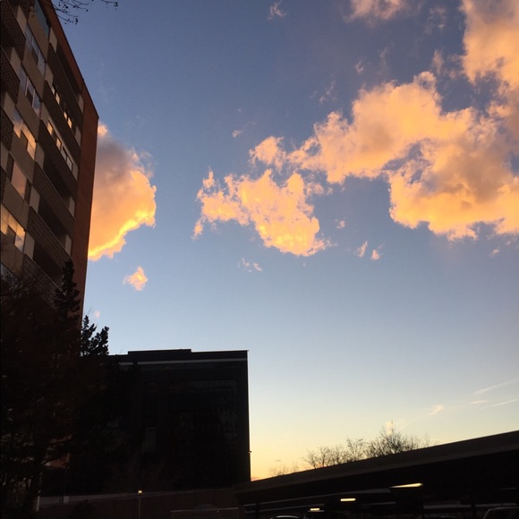 Meet your Posher, Bella - Picture 1 of 1